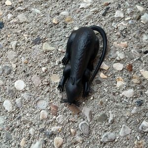 Meet your Posher, Obed